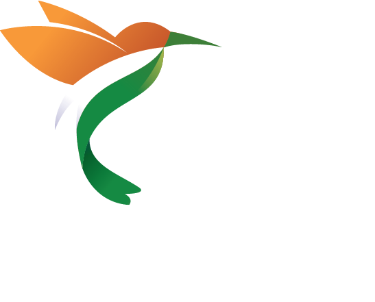 CA Services India